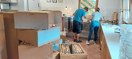 Honigwaben entdeckeln