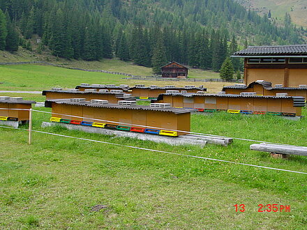 Wanderbienenstand Almrosentracht Unterstalleralm