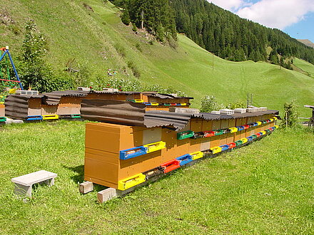 Jungvolkstand  beim Haus